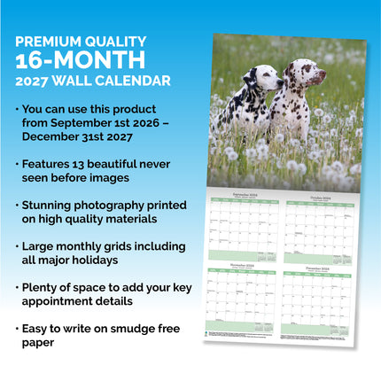 Baker & Bray Dalmatier Kalender 2027