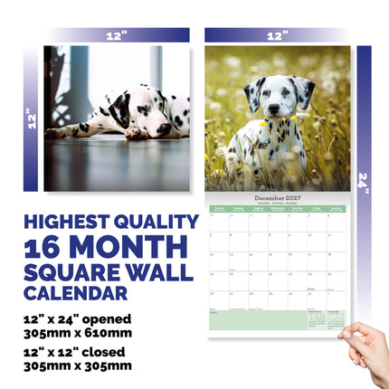 Baker & Bray Dalmatier Kalender 2027