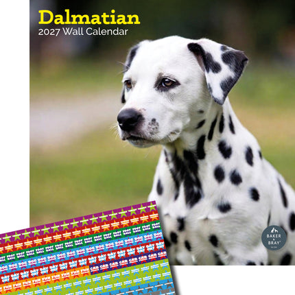 Baker & Bray Dalmatier Kalender 2027