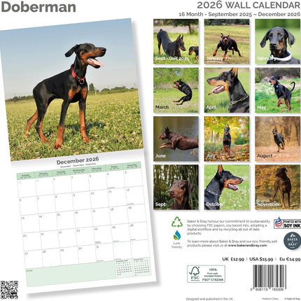 Baker & Bray Dobermann Kalender 2026