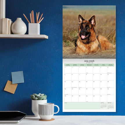 Baker & Bray Duitse Herder Kalender 2026