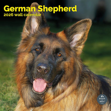 Baker & Bray Duitse Herder Kalender 2026