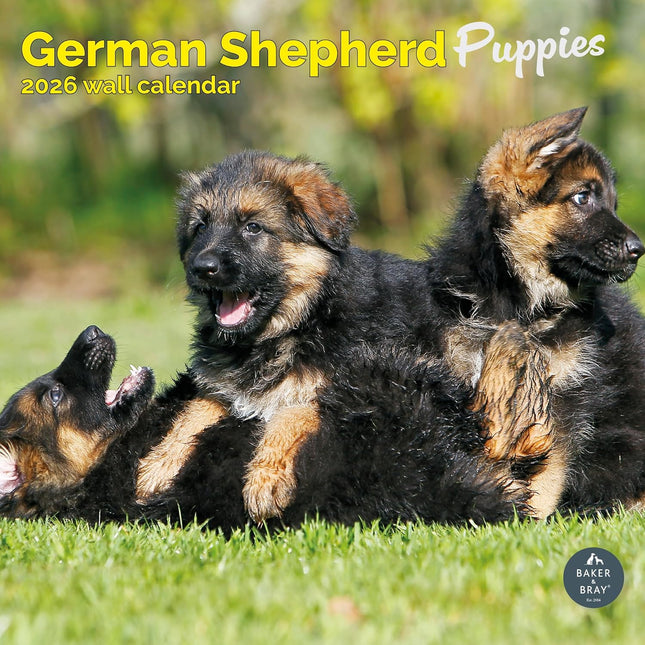 Baker & Bray Duitse Herder Puppies Kalender 2026