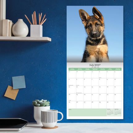 Baker & Bray Duitse Herder Puppies Kalender 2027