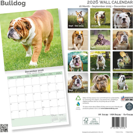Baker & Bray Engelse Bulldog Kalender 2026