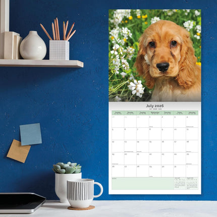 Baker & Bray Engelse Cocker Spaniel Kalender 2026