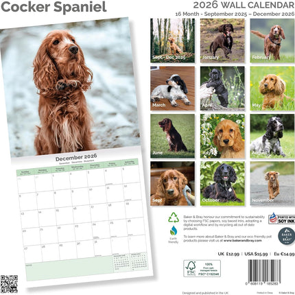 Baker & Bray Engelse Cocker Spaniel Kalender 2026
