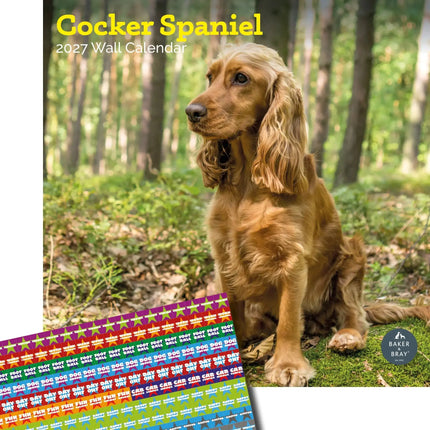 Baker & Bray Engelse Cocker Spaniel Kalender 2027