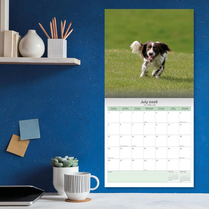 Baker & Bray Engelse Springer Spaniel Kalender 2026
