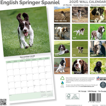 Baker & Bray Engelse Springer Spaniel Kalender 2026