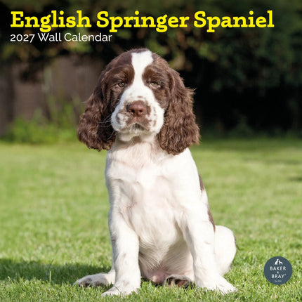 Baker & Bray Engelse Springer Spaniel Kalender 2027