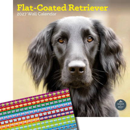 Baker & Bray Flatcoated Retriever Kalender 2027