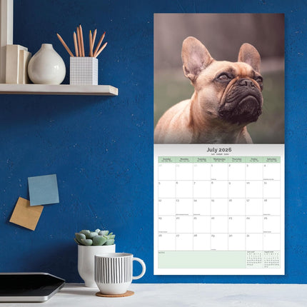 Baker & Bray Franse Bulldog Kalender 2026