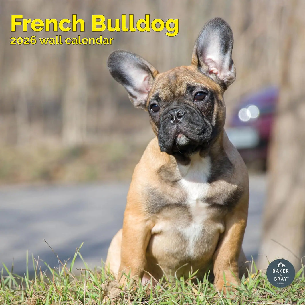 Buy French Bulldog Calendar? Over Supply & Cutting Prices Buy French Bulldog Calendar? Over Supply & Cutting Prices