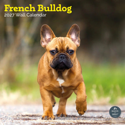 Baker & Bray Franse Bulldog Kalender 2027