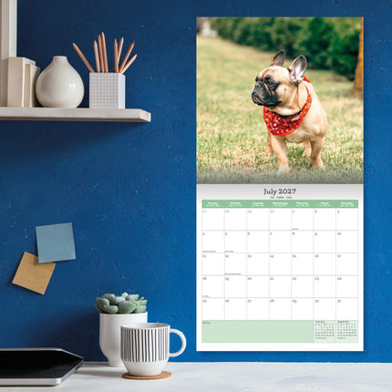 Baker & Bray Franse Bulldog Kalender 2027
