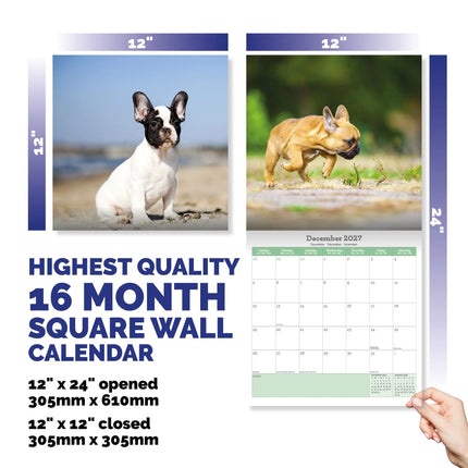 Baker & Bray Franse Bulldog Kalender 2027