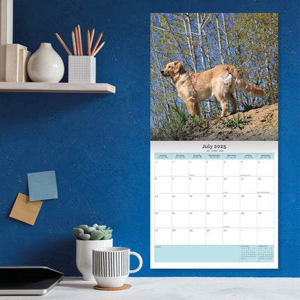 Baker & Bray Golden Retriever Kalender 2025