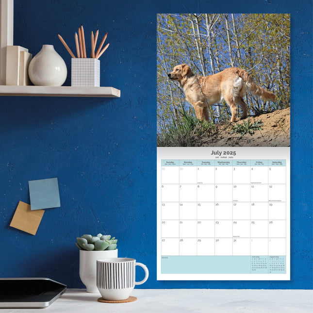 Baker & Bray Golden Retriever Kalender 2025