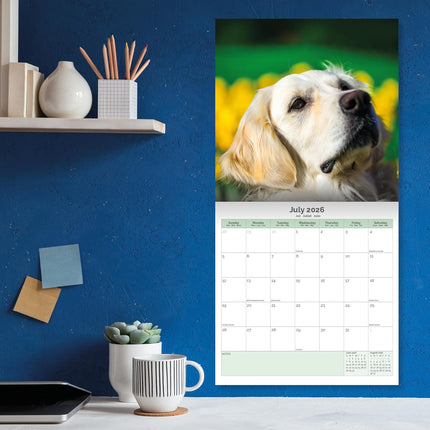 Baker & Bray Golden Retriever Kalender 2026