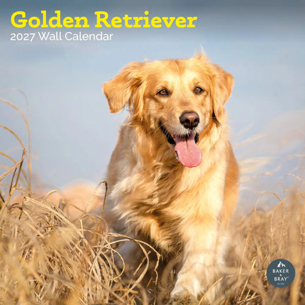 Baker & Bray Golden Retriever Kalender 2027