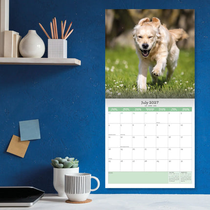 Baker & Bray Golden Retriever Kalender 2027