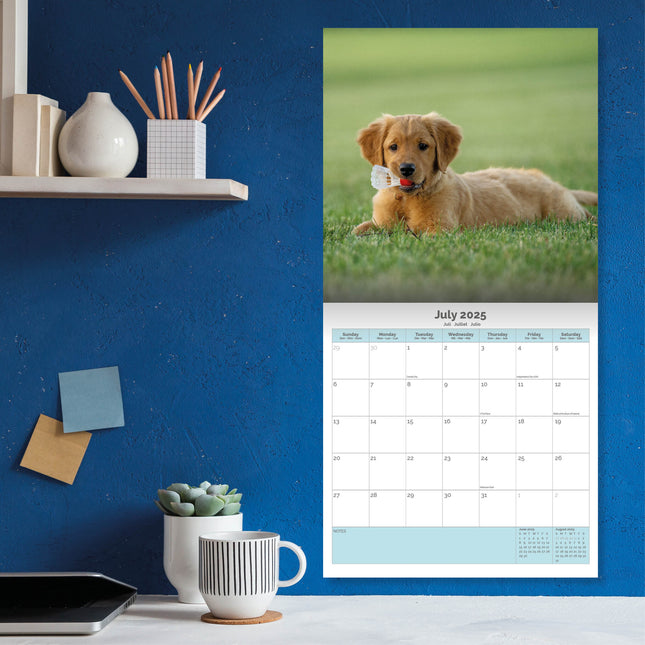 Baker & Bray Golden Retriever Kalender Puppies 2025