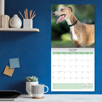 Baker & Bray Greyhound Kalender 2027