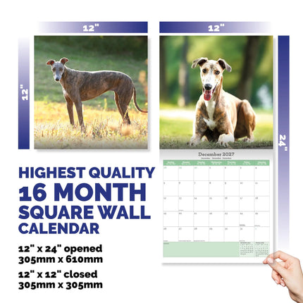 Baker & Bray Greyhound Kalender 2027