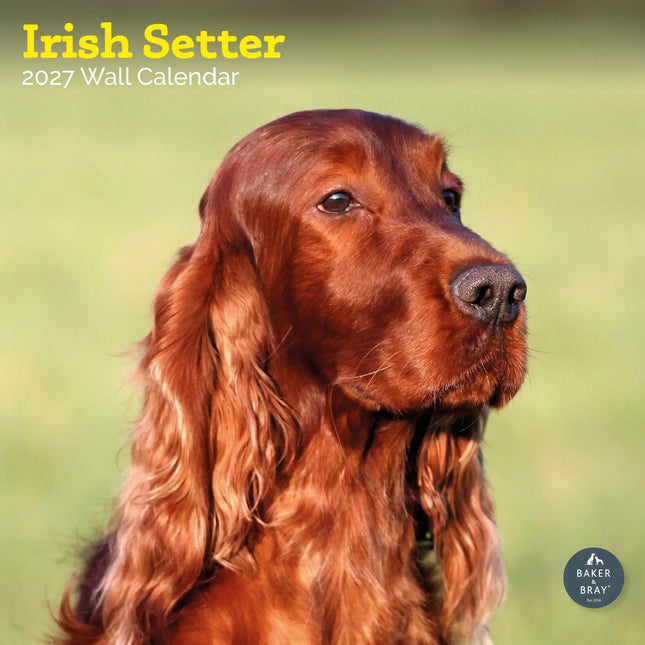 Baker & Bray Ierse Setter Kalender 2027