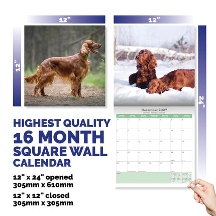 Baker & Bray Ierse Setter Kalender 2027