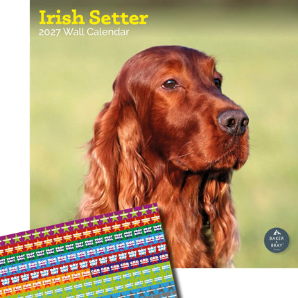 Baker & Bray Ierse Setter Kalender 2027