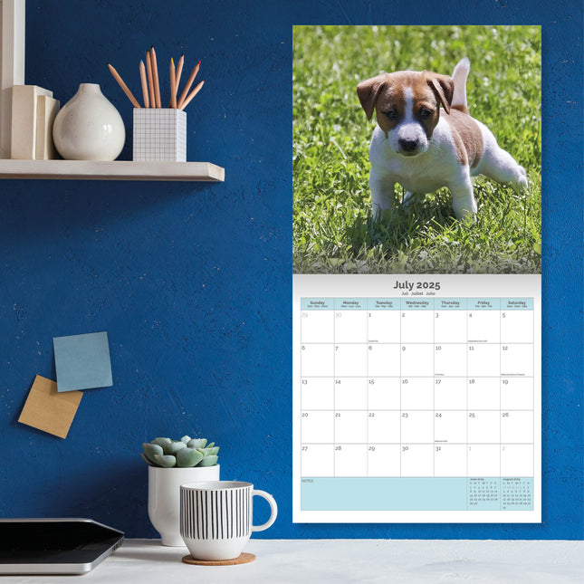 Baker & Bray Jack Russell Terrier Kalender 2025