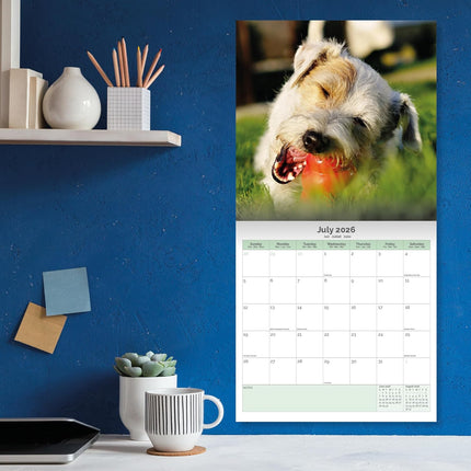 Baker & Bray Jack Russell Terrier Kalender 2026