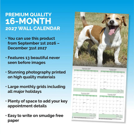Baker & Bray Jack Russell Terrier Kalender 2027