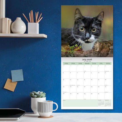 Baker & Bray Katten Kalender 2026