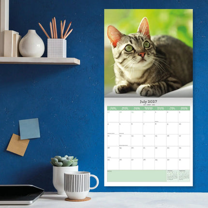 Baker & Bray Katten Kalender 2027