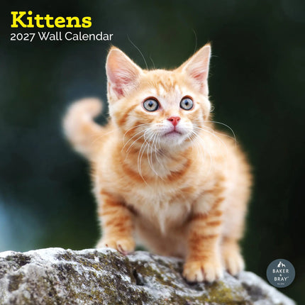 Baker & Bray Kittens Kalender 2027