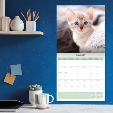 Baker & Bray Kittens Kalender 2027