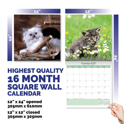 Baker & Bray Kittens Kalender 2027