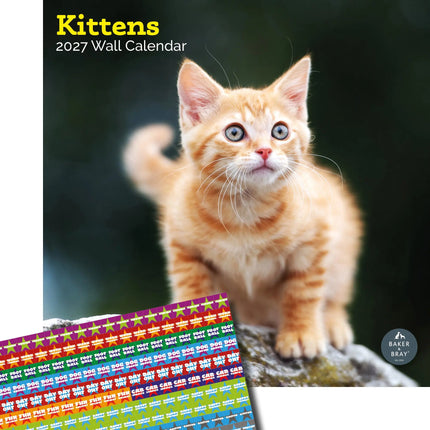 Baker & Bray Kittens Kalender 2027