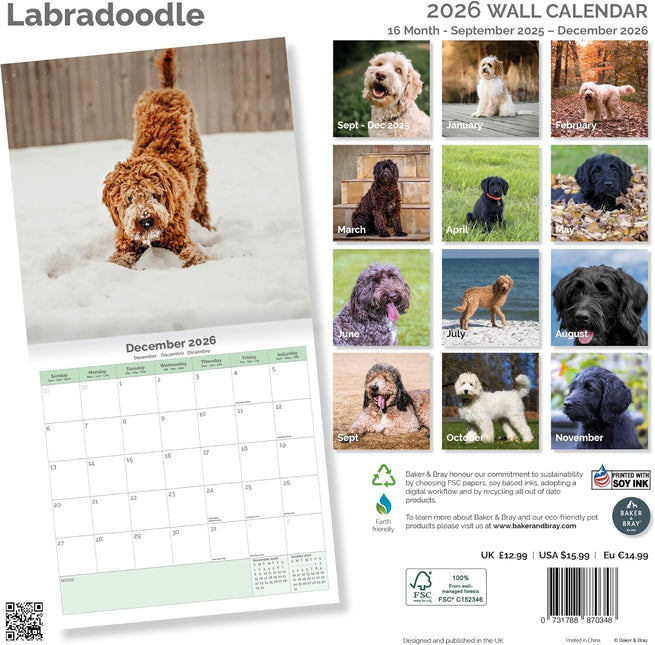 Baker & Bray Labradoodle Kalender 2026