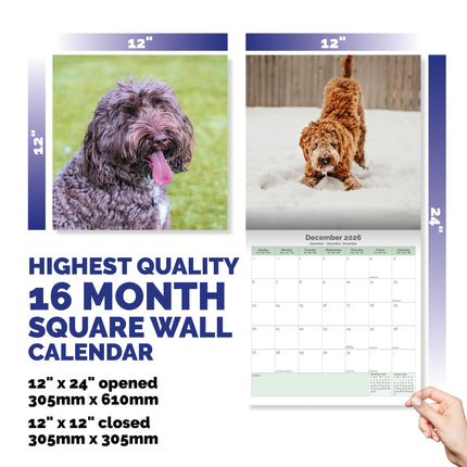 Baker & Bray Labradoodle Kalender 2026