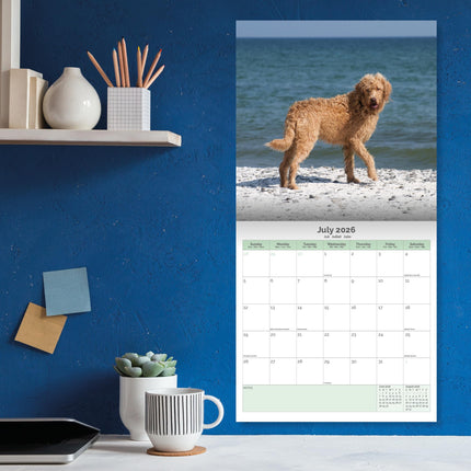 Baker & Bray Labradoodle Kalender 2026