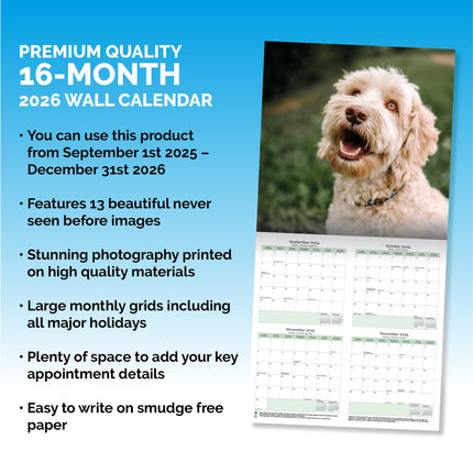Baker & Bray Labradoodle Kalender 2026