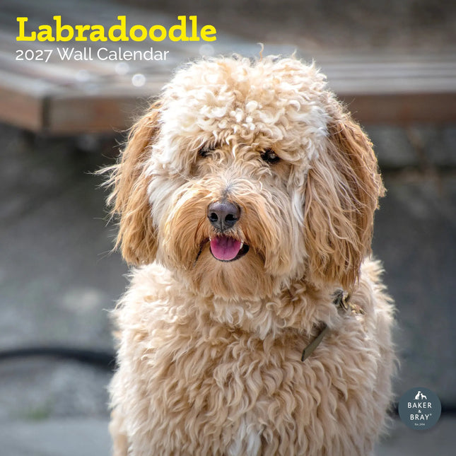 Baker & Bray Labradoodle Kalender 2027