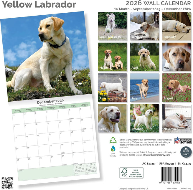 Baker & Bray Labrador Retriever Blond Kalender 2026