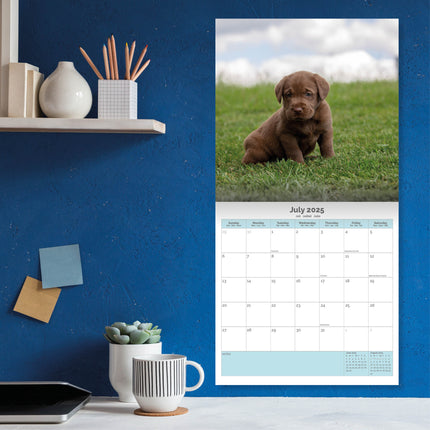 Baker & Bray Labrador Retriever Bruin Kalender 2025