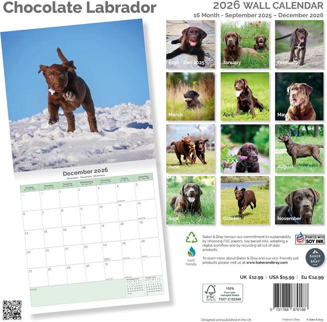 Baker & Bray Labrador Retriever Bruin Kalender 2026