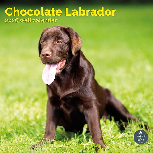 Baker & Bray Labrador Retriever Bruin Kalender 2026